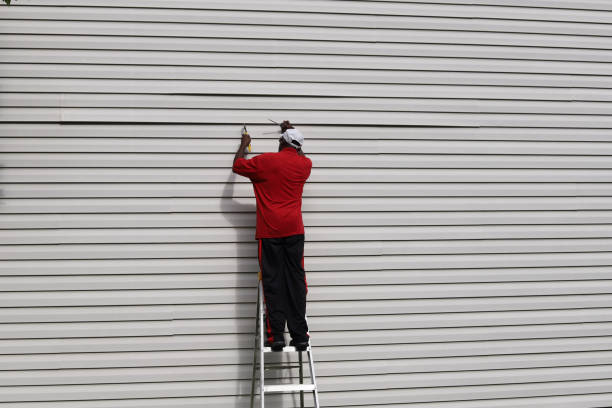 Best Steel Siding Installation  in Carnegie, PA